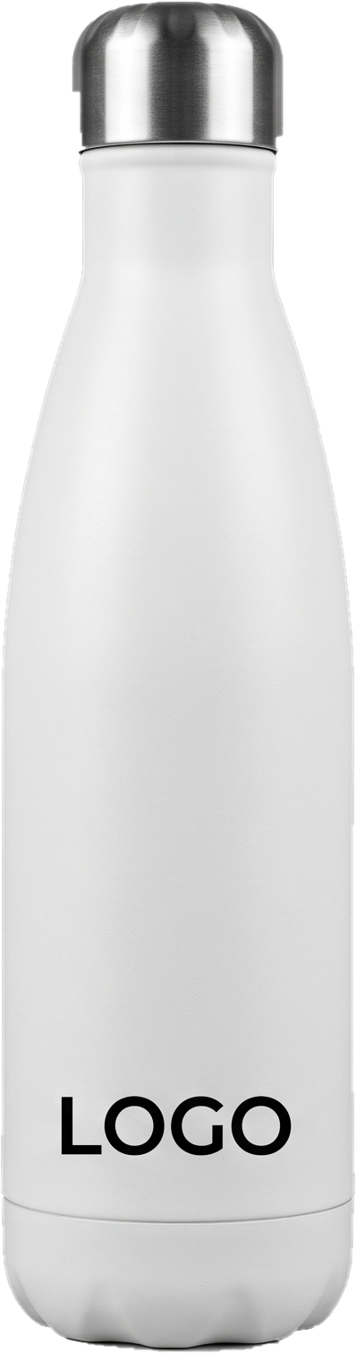 Insulated Bottle